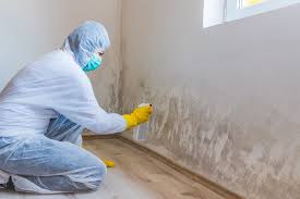 Best Environmental Consulting for Mold Prevention  in Plains, TX